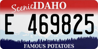 ID license plate E469825