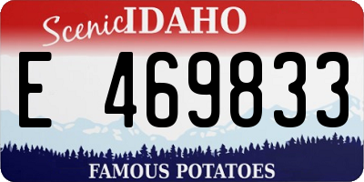 ID license plate E469833