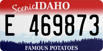 ID license plate E469873