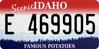 ID license plate E469905