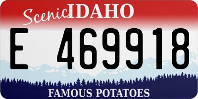 ID license plate E469918