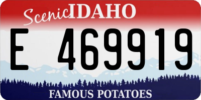 ID license plate E469919