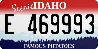 ID license plate E469993