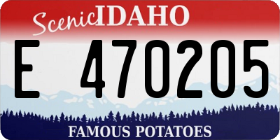 ID license plate E470205