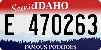 ID license plate E470263