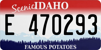 ID license plate E470293