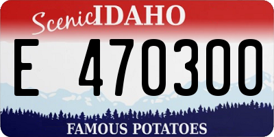 ID license plate E470300