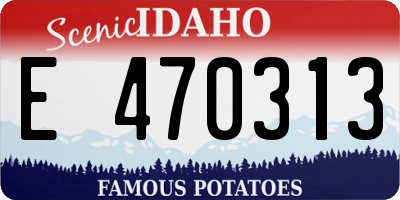ID license plate E470313