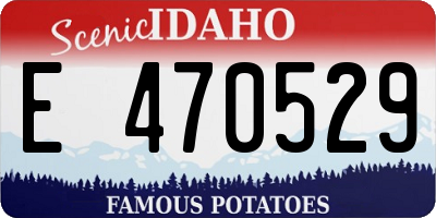 ID license plate E470529