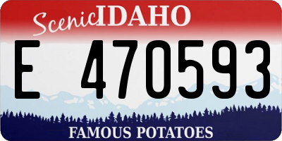 ID license plate E470593
