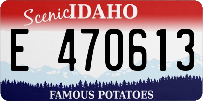ID license plate E470613
