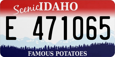 ID license plate E471065