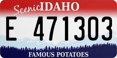 ID license plate E471303