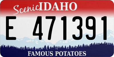 ID license plate E471391