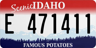 ID license plate E471411