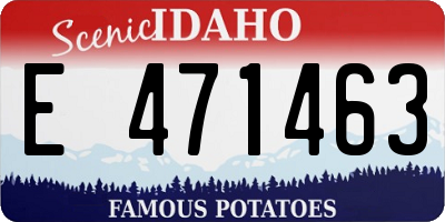 ID license plate E471463