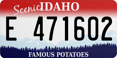 ID license plate E471602