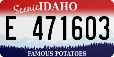 ID license plate E471603
