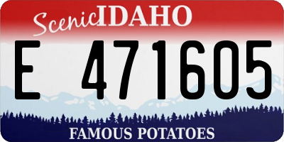 ID license plate E471605
