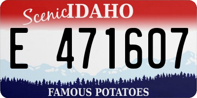 ID license plate E471607