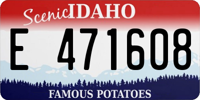 ID license plate E471608