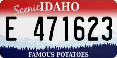 ID license plate E471623