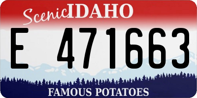 ID license plate E471663