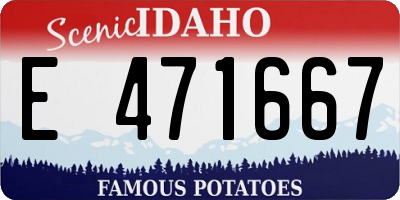 ID license plate E471667