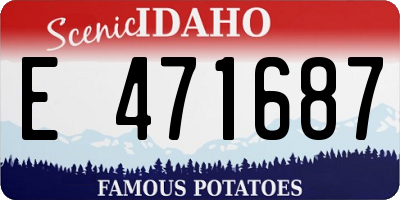 ID license plate E471687