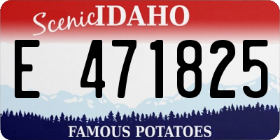 ID license plate E471825