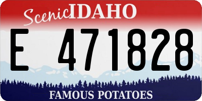 ID license plate E471828
