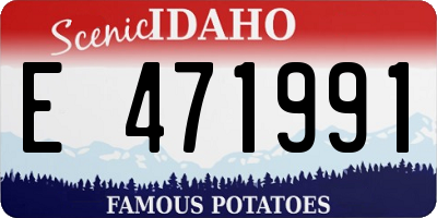 ID license plate E471991