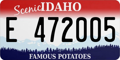 ID license plate E472005
