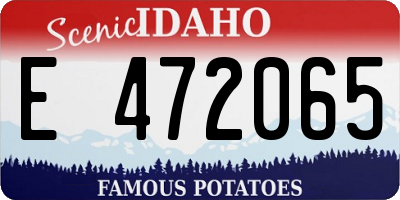 ID license plate E472065