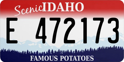 ID license plate E472173
