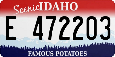 ID license plate E472203