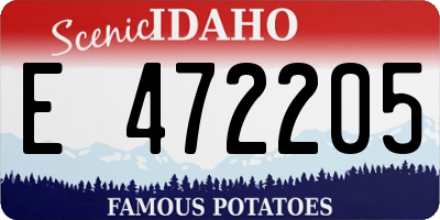 ID license plate E472205