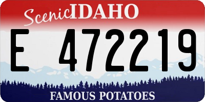 ID license plate E472219