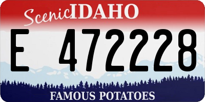 ID license plate E472228