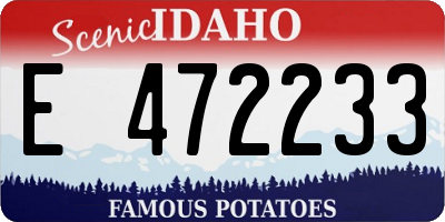 ID license plate E472233