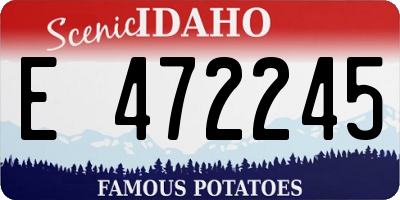 ID license plate E472245