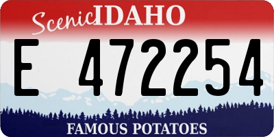 ID license plate E472254