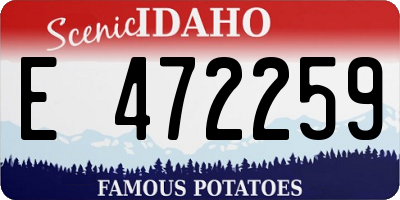 ID license plate E472259