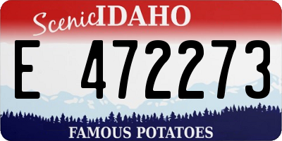ID license plate E472273