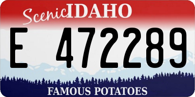 ID license plate E472289