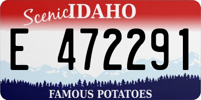 ID license plate E472291