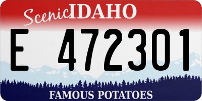 ID license plate E472301