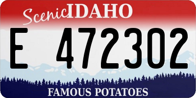 ID license plate E472302