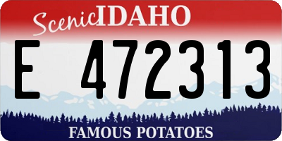 ID license plate E472313