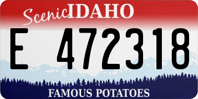 ID license plate E472318